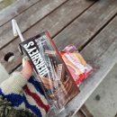 제일건재 | 제주 전기자전거 대여 제주환상자전거길 종주 후기 (feat. 환장의 바람)