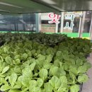 흥농종묘대리점 이미지