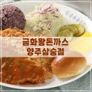 금화왕돈까스 양주삼숭점 | 옛날 왕돈까스 맛집 양주삼숭 금화왕돈까스