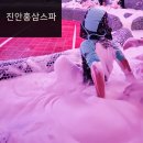 진안도서관 3층 | 진안 홍삼스파랜드 준비물 할인 예매 방법 홍삼 버블 노천탕 / 전북 진안 가볼만한곳