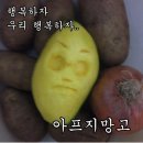 단양회수산