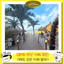 5909 | 안산 대부도 카페 추천 발리다 후기 휴양지 감성 아기랑 애견동반 여부 주차