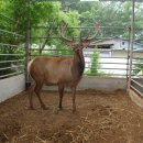 행복농장 6 이미지