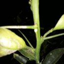 이기철농장 이미지