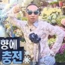 토마토스포츠 이미지