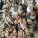 초일농장 이미지