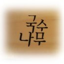 국수나무 증평점 이미지