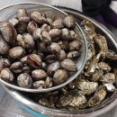 입석1구 이미지