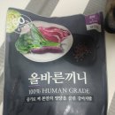 삼순이네 수제간식 | 콩백이리뷰) 강아지 장 건강에 좋은 국개대표 올바른끼니