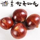 쿡앤푸드 이미지