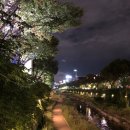 건천테니스장 | 혼자 대구 여행지 범어천, 수성유원지 여유로운 산책길