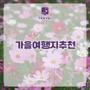 금호강14번 네이버블로그