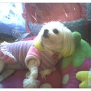 독사랑동물병원 이미지