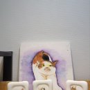 메종 드 캣 이미지