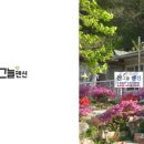 댕댕이계곡펜션 이미지