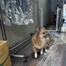 은비세탁소 이미지