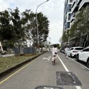 신농약국 이미지