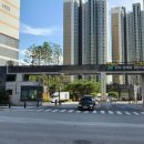 파인트리음악학원 이미지