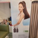 인셀덤샤인 네이버블로그