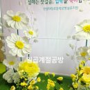 대창초교병설유치원 이미지