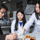 유한회사 야생초 이미지