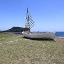 호랑호랑 이미지