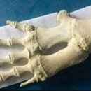 바다와고래 이미지