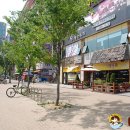 위드펫(with pet) 이미지