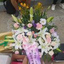 부산 BEXCO 미스트롯 효 콘서트후기