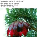 또오래
