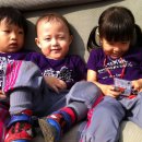 서하농장 이미지