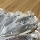 영광수산 | 손질조기 추천 영광수산 반건조 부세조기 택배 솔직후기