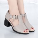 2203 이미지