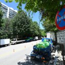 주정차19 이미지