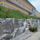 삼광수지 이미지