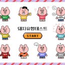 앗싸돼지요 이미지