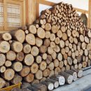 율포 펜션 이미지