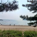 큰무리어촌계 이미지