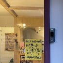 하우머치(HOW MUCH) | 광주 동명동 신상카페 <하우머치아이러브유> 애견동반 가능