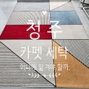잠실준25시동물병원 | [청주 카펫 세탁 후기] 노블리사 카펫 세탁 후기