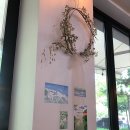 돌체도노 이미지