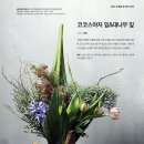 코코스플라워 이미지