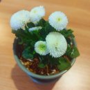 카페희(Hee)