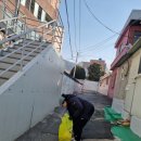 보라자원 이미지