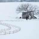 연월농장 이미지