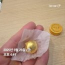 세종한의원 | 경희피어라한의원] 대표원장의 공진단 내만내먹(?)후기! 세종 산울동 고운동 아름동 총명공진단 한의원