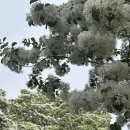 우천주유소 | 1일차 전주 여행-이팝나무철길 전주레일바이크 한국도로공사 전주 수목원