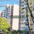 압구정-117 이미지