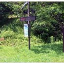 지방도925호선 이미지