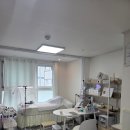 경화청과 | 자양동 속눈썹연장 자연스러운 LED 연장 리안나뷰티 리얼 후기
